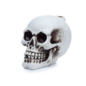 Smilkalinė Backflow Skull